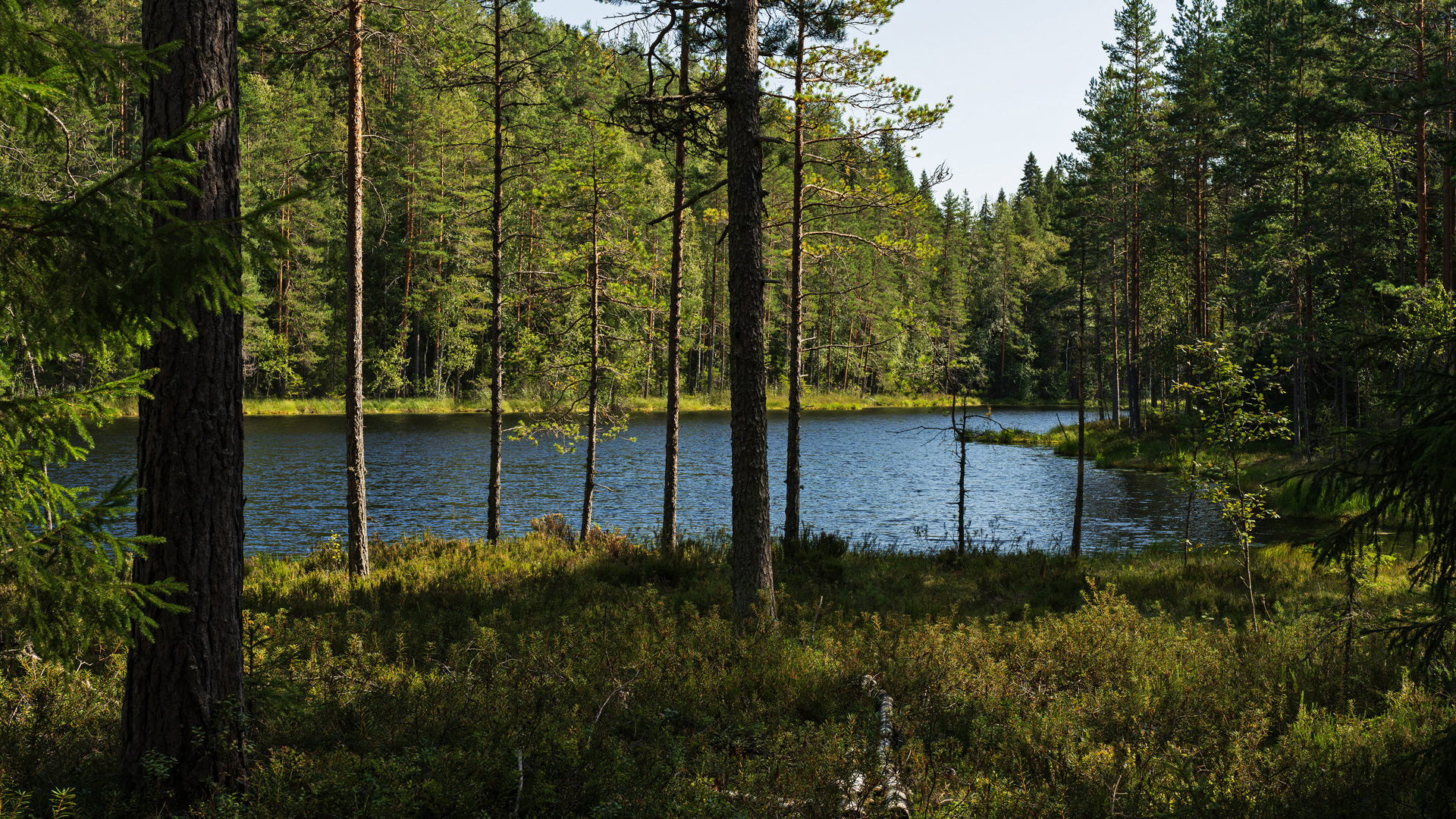 Valokuva tilassa